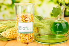 Pentiken biofuel availability