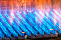 Pentiken gas fired boilers